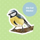 Blue Tit Bird Vinyl Sticker Original Artwork waterproof single stickers