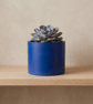 Large 15 cm Round Prussian Blue Plant Pot for Houseplants