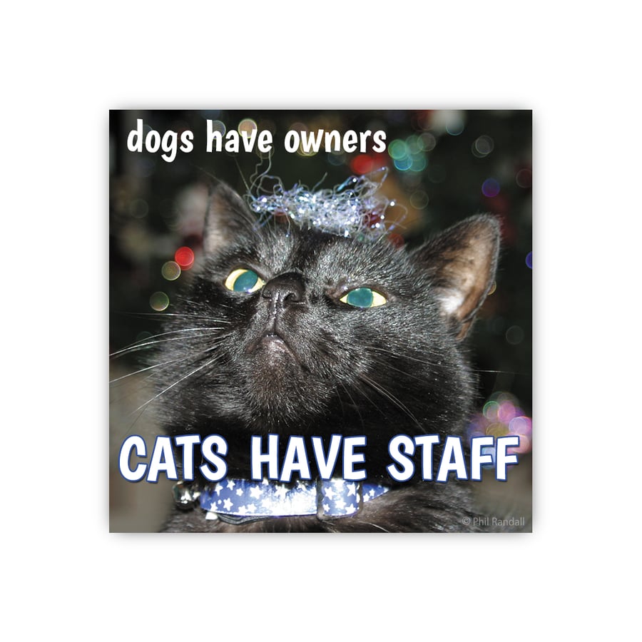Cats have Staff