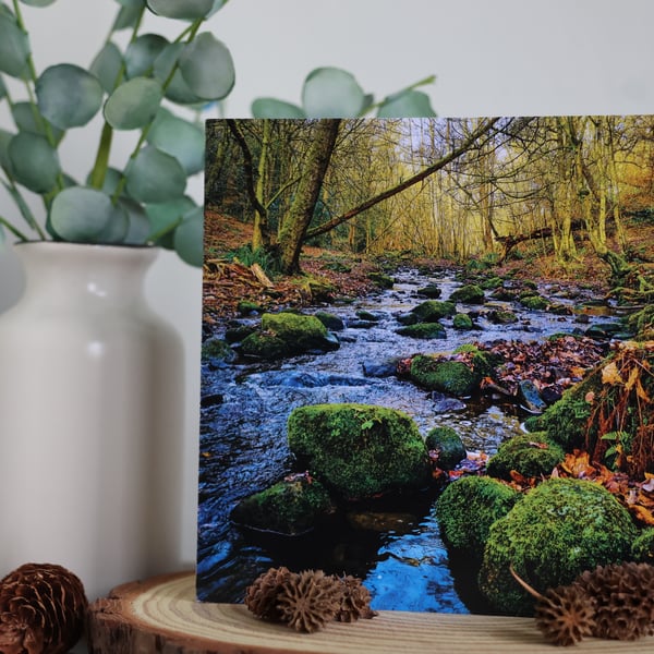 Loadpit Beck - Woodland Landscape - Blank Greetings Card