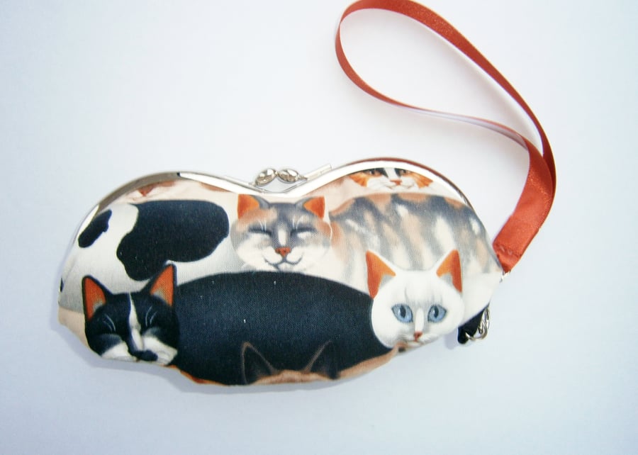 HALF PRICE SALE Cats Glasses case