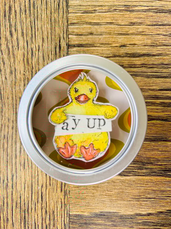 Ay Up Me Duck - Cute and quirky 3D Illustration in tin - funny art gift