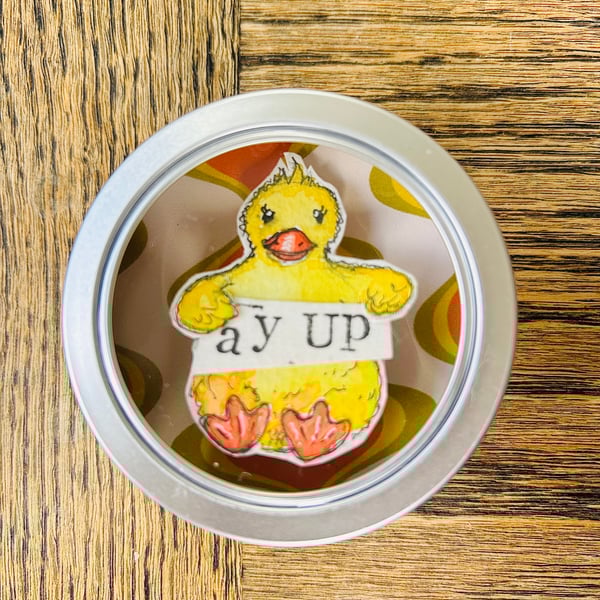 Ay Up Me Duck - Cute and quirky 3D Illustration in tin - funny art gift