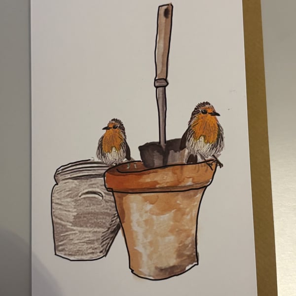 Robins on Pots A5 Greeting Cards 
