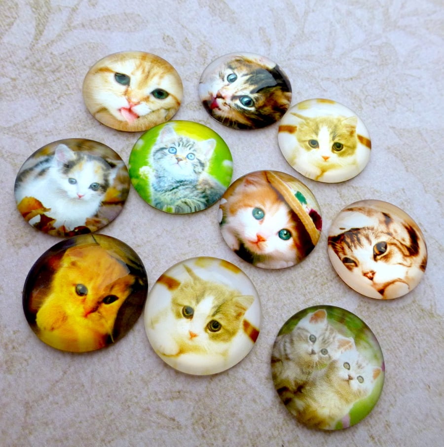 pack of 10 - Cats and Kittens Cabochons Mix 20mm Cabochon