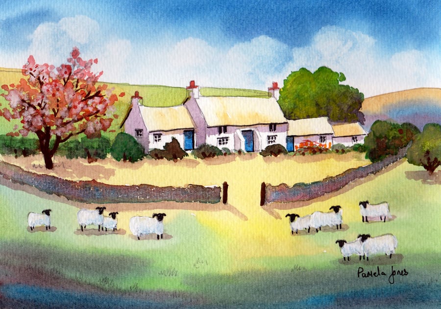 Watercolour Print,  Welsh Cottage, Cherry Blossom, Sheep,  In 14 x 11 '' Mount
