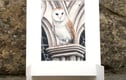 Original Artwork - Smaller Work