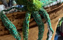 Crotcheted octopus collection
