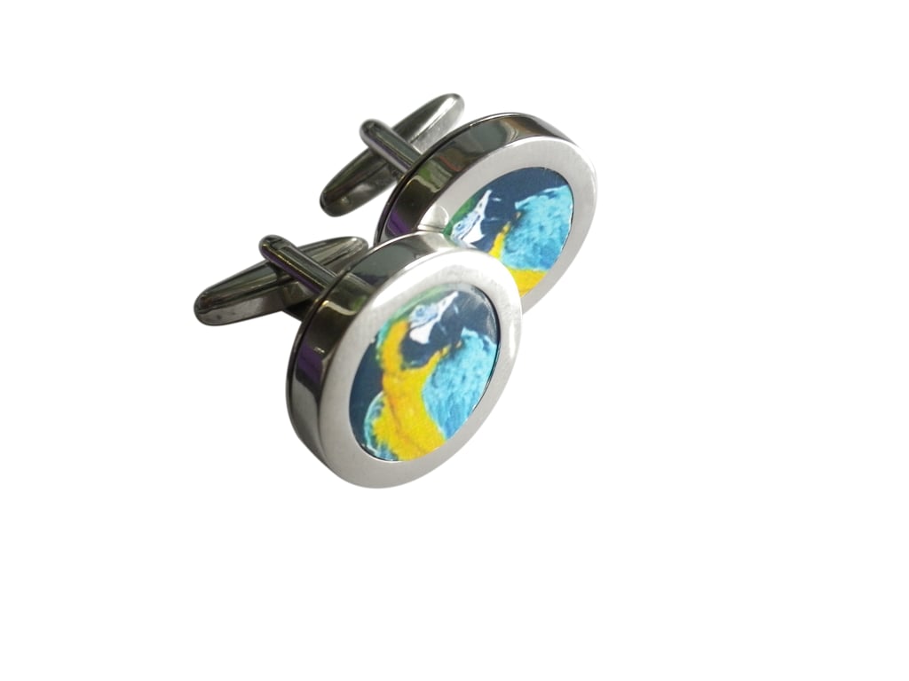 Exotic parrot cufflinks, free shipping, gift wrapped, terrific image, Ref 1234