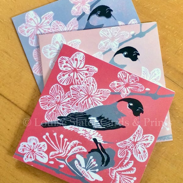 Pack of 3 Bullfinch Cards
