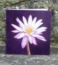 Greetings Card - Blank - Waterlily - Image 2