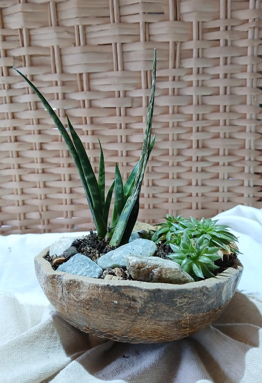 Handmade Ceramic Succulent Planter Rustic Pottery for Indoor or Outdoor use