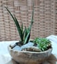 Handmade Ceramic Succulent Planter Rustic Pottery for Indoor or Outdoor use