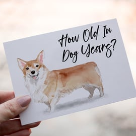 Corgi Dog Birthday Card, Dog Birthday Card, Personalized Dog Breed Card