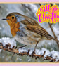 Robin in Norfolk Christmas Greeting Card A5