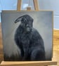 6 x 6 inch Hare Posing Card