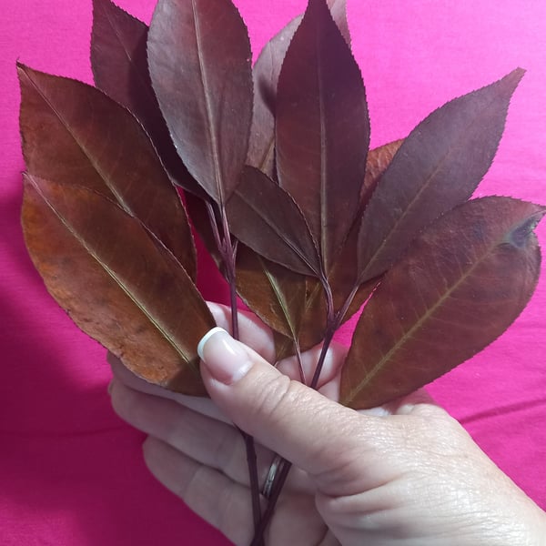 Dried leaves crafts,Red Brown leaves,Leaves for crafts,resin,candles,art,cards