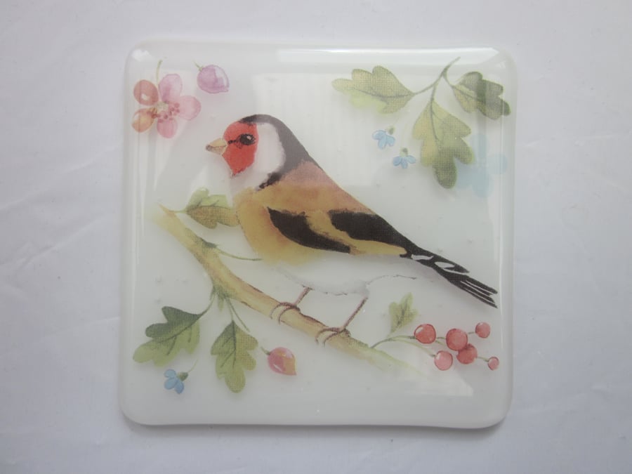  Handmade fused glass coaster - Goldfinch (a)