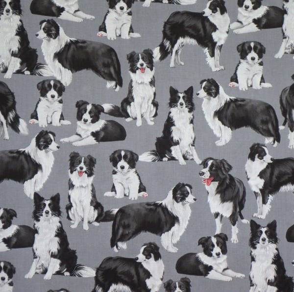 Fat Quarter Border Collie Dogs Puppies 100% Cotton Quilting Sewing Fabric
