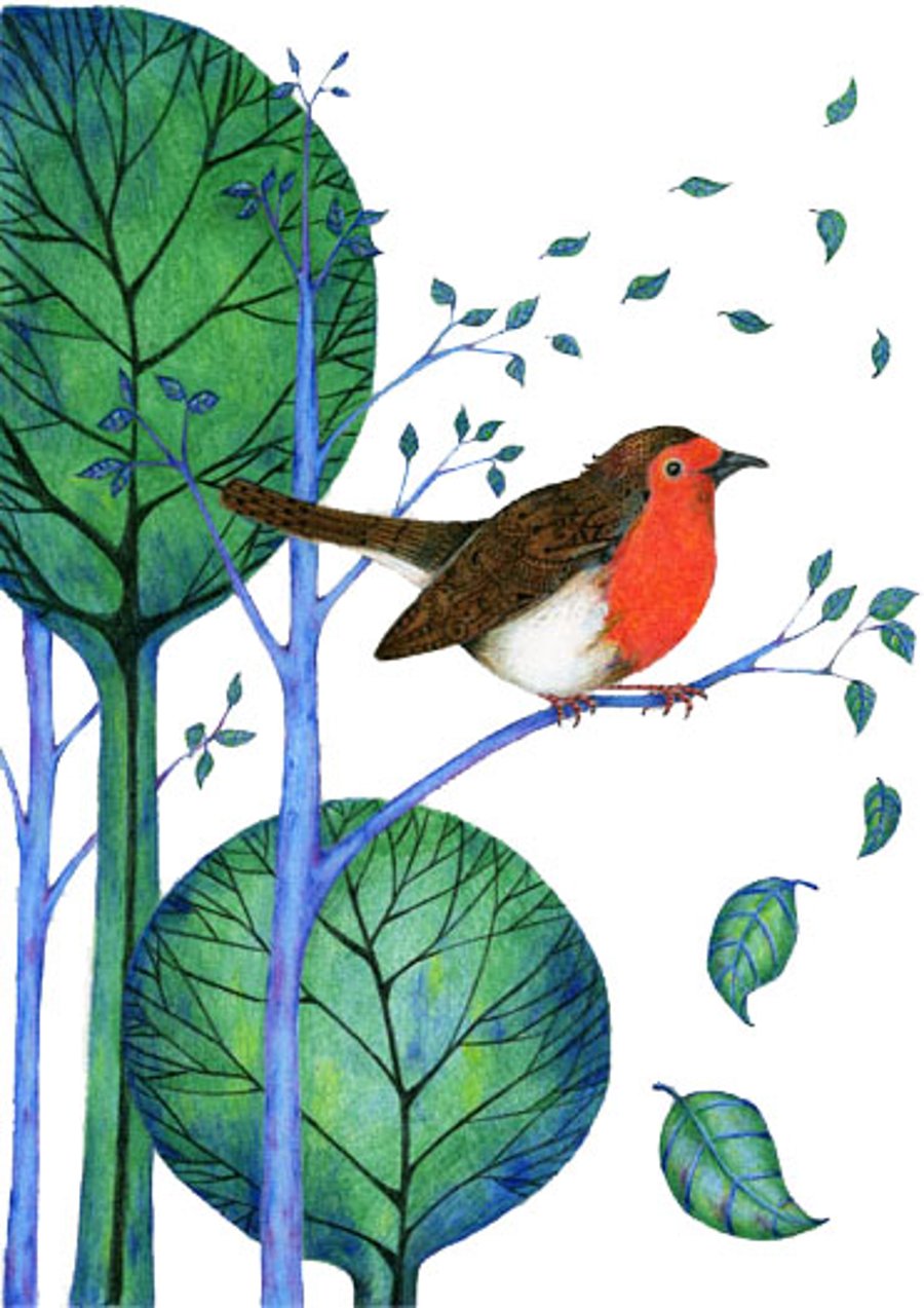 Robin print Bird Illustration Giclee A4 print