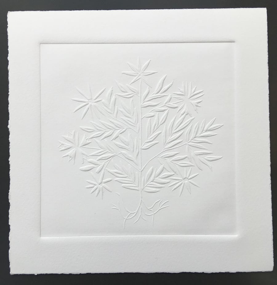 Star Tree, Limited edition blind embossed print