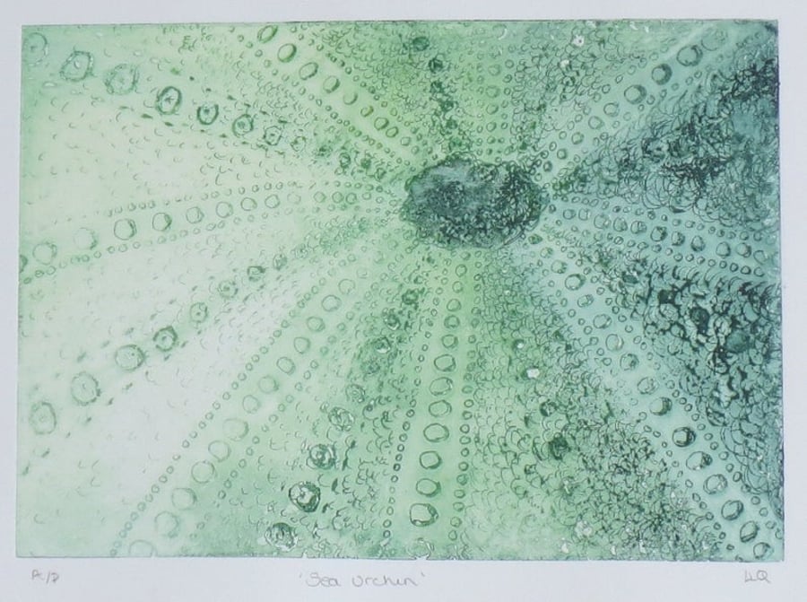 Semi abstract sea urchin solar etching artist proof print in green