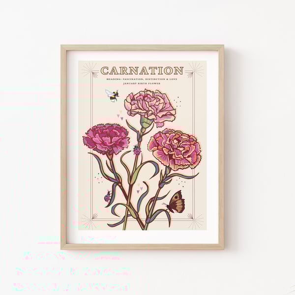 Carnations, January Birth Flower, Language of Flowers Illustration Print
