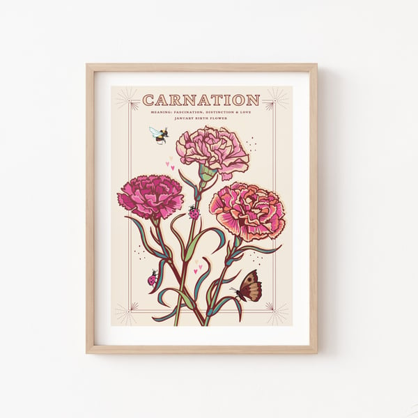 Carnations, January Birth Flower, Language of Flowers Illustration Print