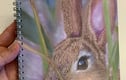 Notebooks-wildlife art