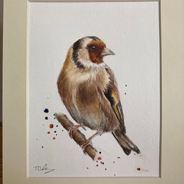 Original goldfinch bird watercolour painting, mounted wildlife art