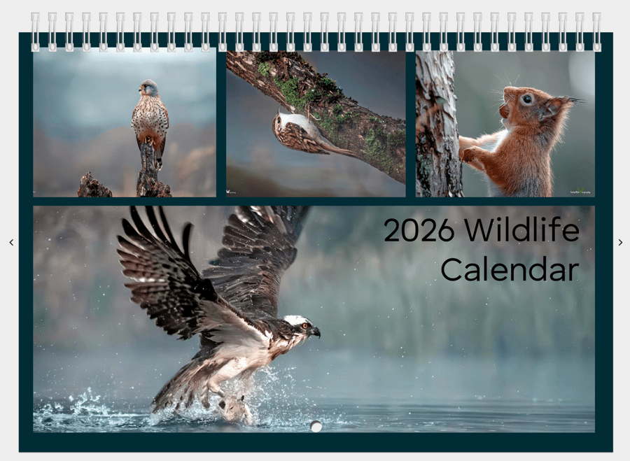 2026 Wildlife Calendar