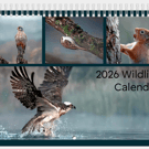 2026 Wildlife Calendar