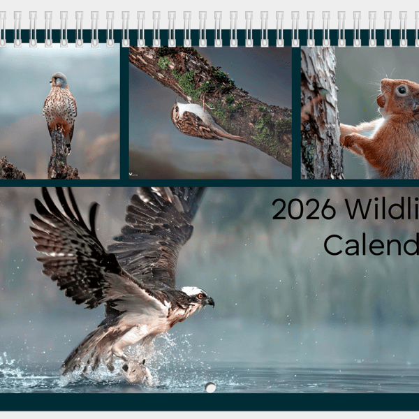 2026 Wildlife Calendar