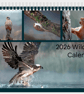 2026 Wildlife Calendar