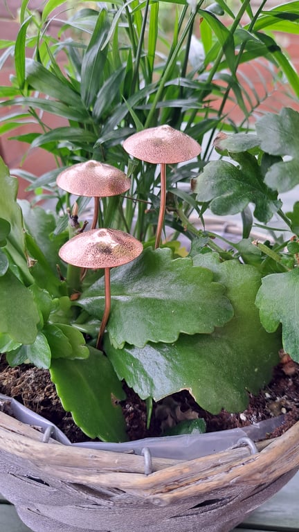 Copper texured garden mushroom, plant pot decoration, gift