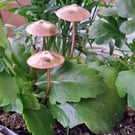 Copper texured garden mushroom, plant pot decoration, gift