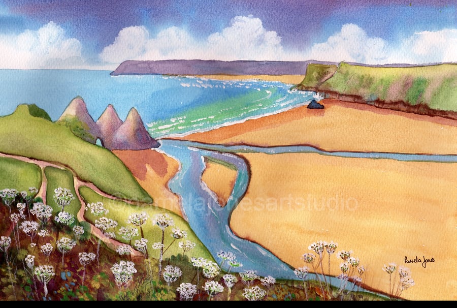 Cowparsley, Three Cliffs Bay, Gower, Original Watercolour in 20 x 16 '' Mount