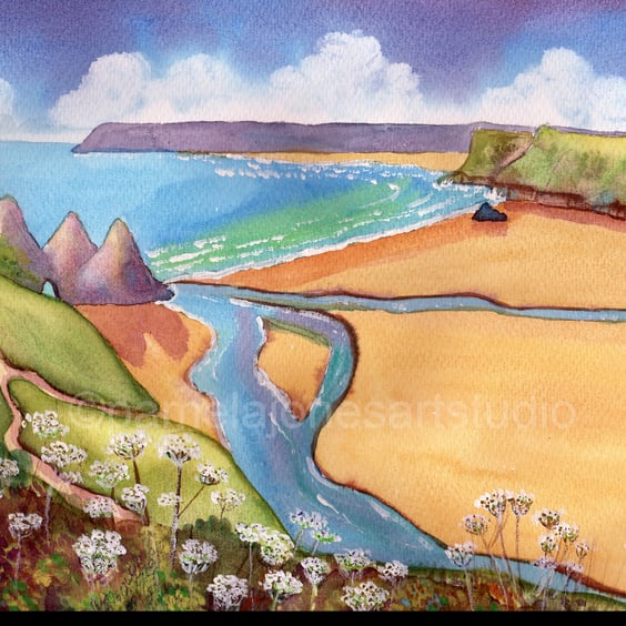 Cowparsley, Three Cliffs Bay, Gower, Original Watercolour in 20 x 16 '' Mount