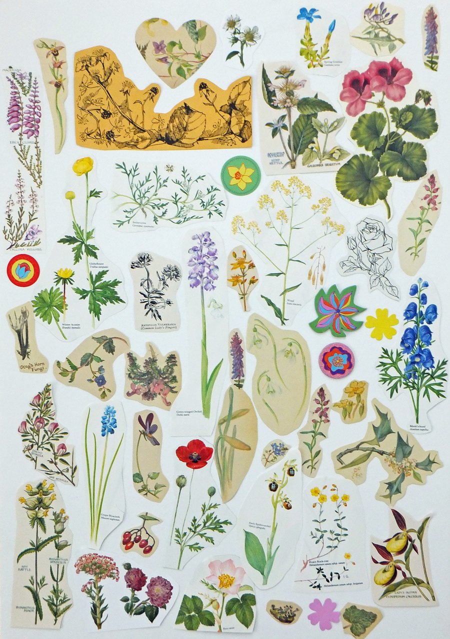 Paper Ephemera Pack - Flowers - Crafting Supplies