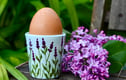Egg Cups