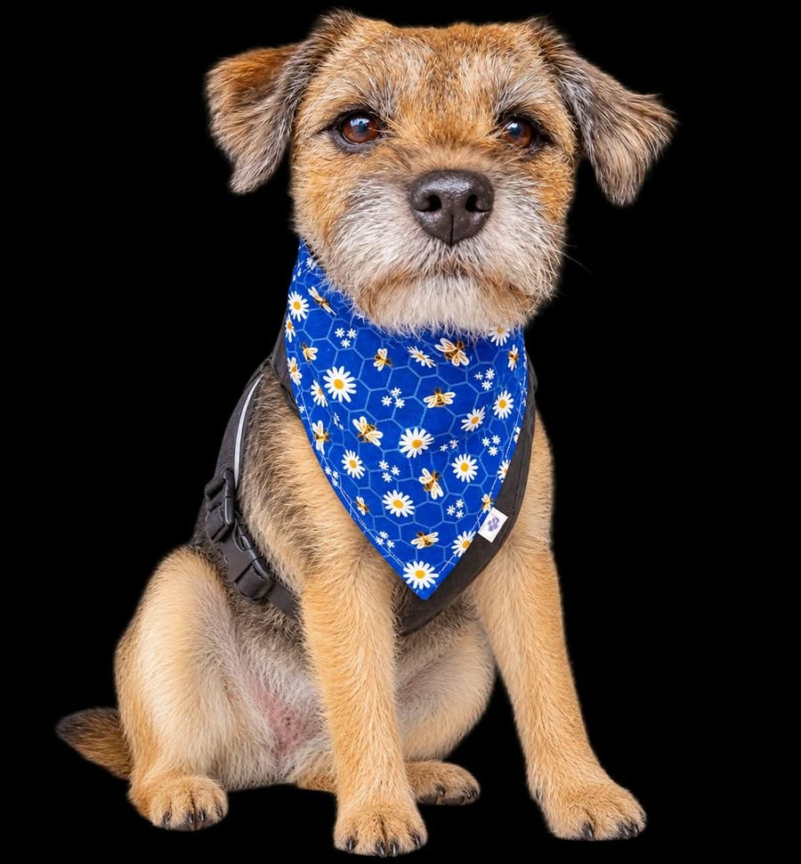Scrunchie Dog and Cat Bandana - "Buzzy Bees", 100% Cotton, Stylish Pet Accessory