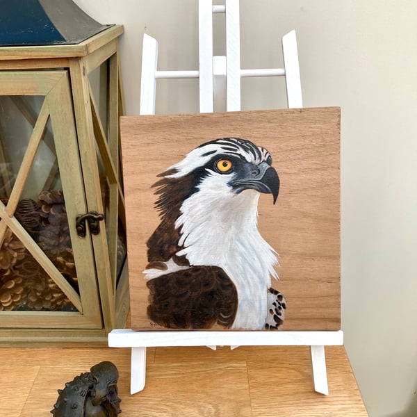 Osprey acrylic painting on birch wood