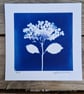 Cyanotype Botanical Print No. 23 - Image 2