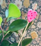 Little Heart Plant Stake