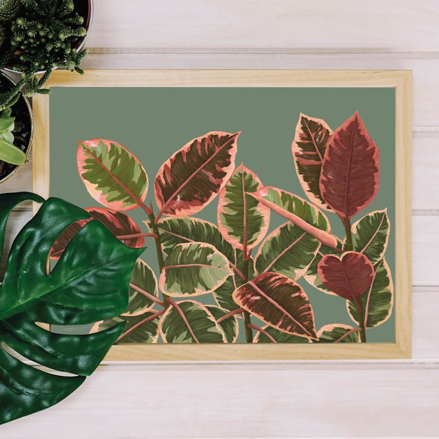Rubber plant Illustration, Houseplant Print, Colourful wall art, Pink decor 