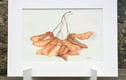 Original Artwork - Animals, Plants and Flowers