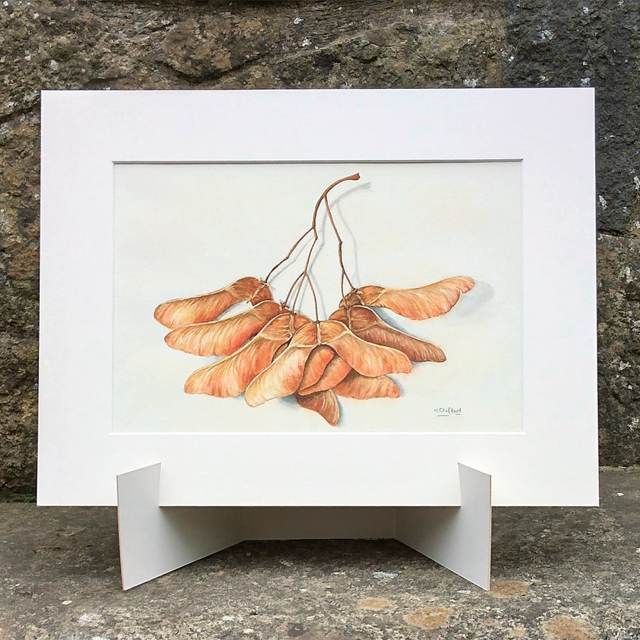 Sycamore Seeds Original Watercolour Painting