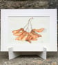 Sycamore Seeds Original Watercolour Painting - Image 1