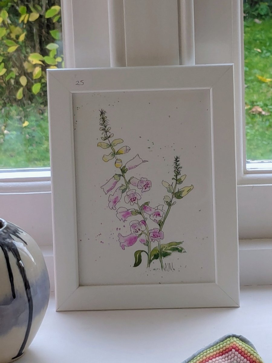 Pink foxglove, framed original watercolour painting 
