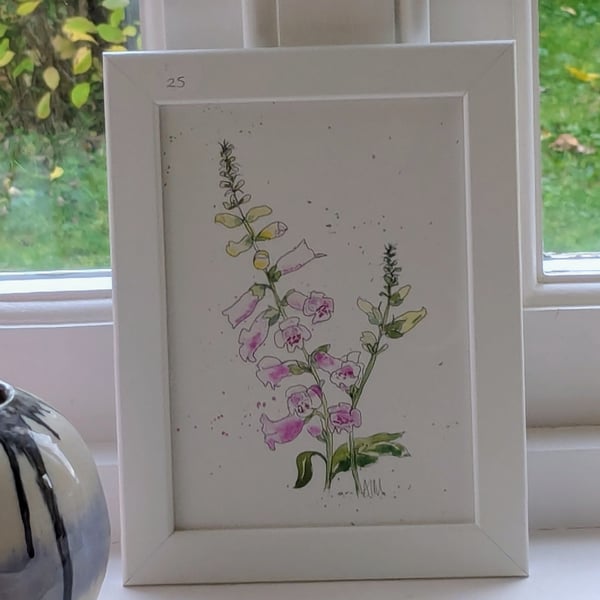 Pink foxglove, framed original watercolour painting 